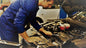 Premium Pre-Purchase Car Inspection with Live Mechanic Support – Full Vehicle Check London